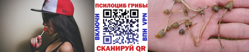 Галлюциногенные грибы мухоморы  купить  сайты  Полярные Зори 